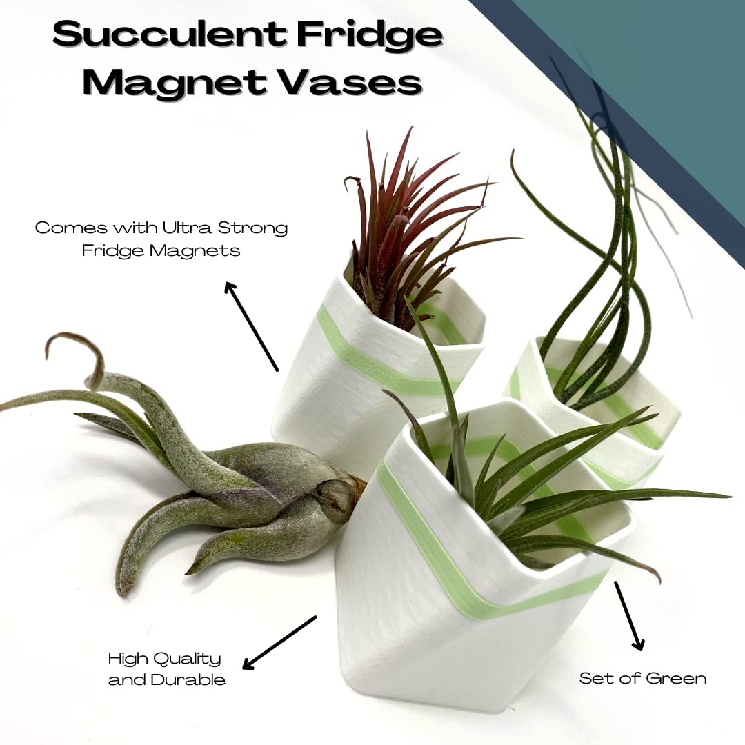 Planter Fridge Magnet Set - Ideal for Air Plants or Succulents - Set of 3 White Planters with Green Stripe - Made in The USA
