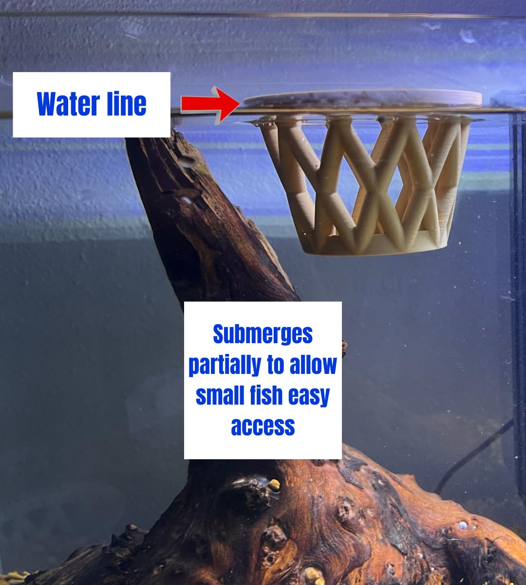 Chatelet Aquarium Fish Feeding Cage | Small Fish Feed Cage | Floats at Surface & Keeps Larger Fish Out | Made in USA