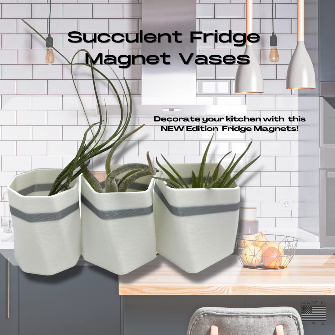 Planter Fridge Magnet Set - Ideal for Air Plants or Succulents - Set of 3 White Planters with Gray Stripe - Made in The USA