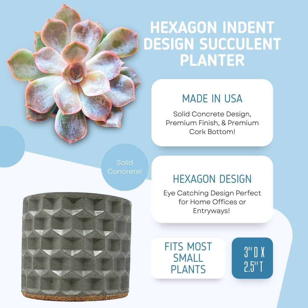 Concrete Hexagon Indent Design Small Planter - 3" Diameter - Holds Small Indoor or Outdoor Plants - Succulents, Microgreens, Flowers - Handmade in USA Gray, Concrete