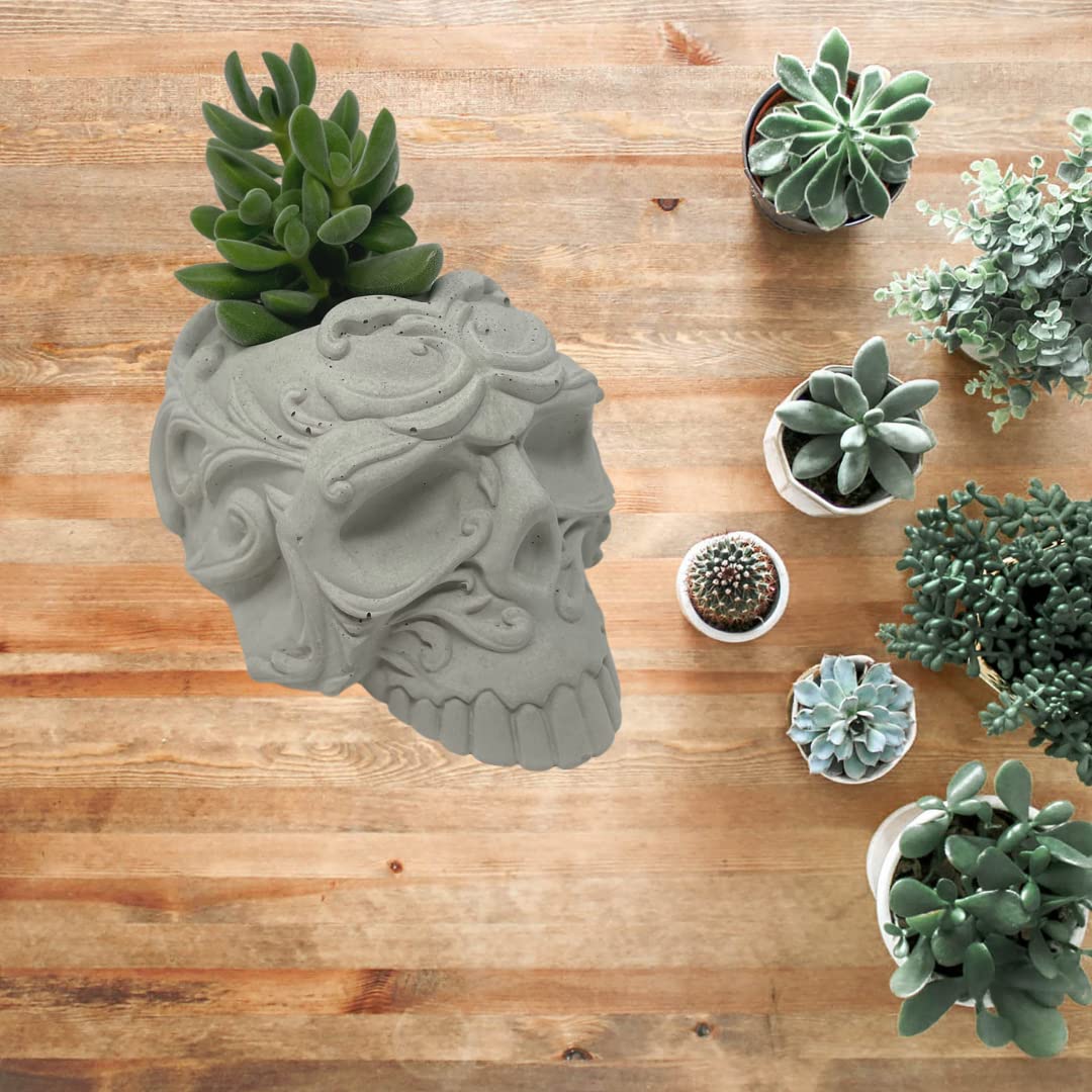 Chatelet Concrete Skull Design Small Planter - 5" x 3.5" x3" - Holds Small Indoor or Outdoor Plants - Succulents, Microgreens, Flowers - Handmade in USA Gray, Concrete