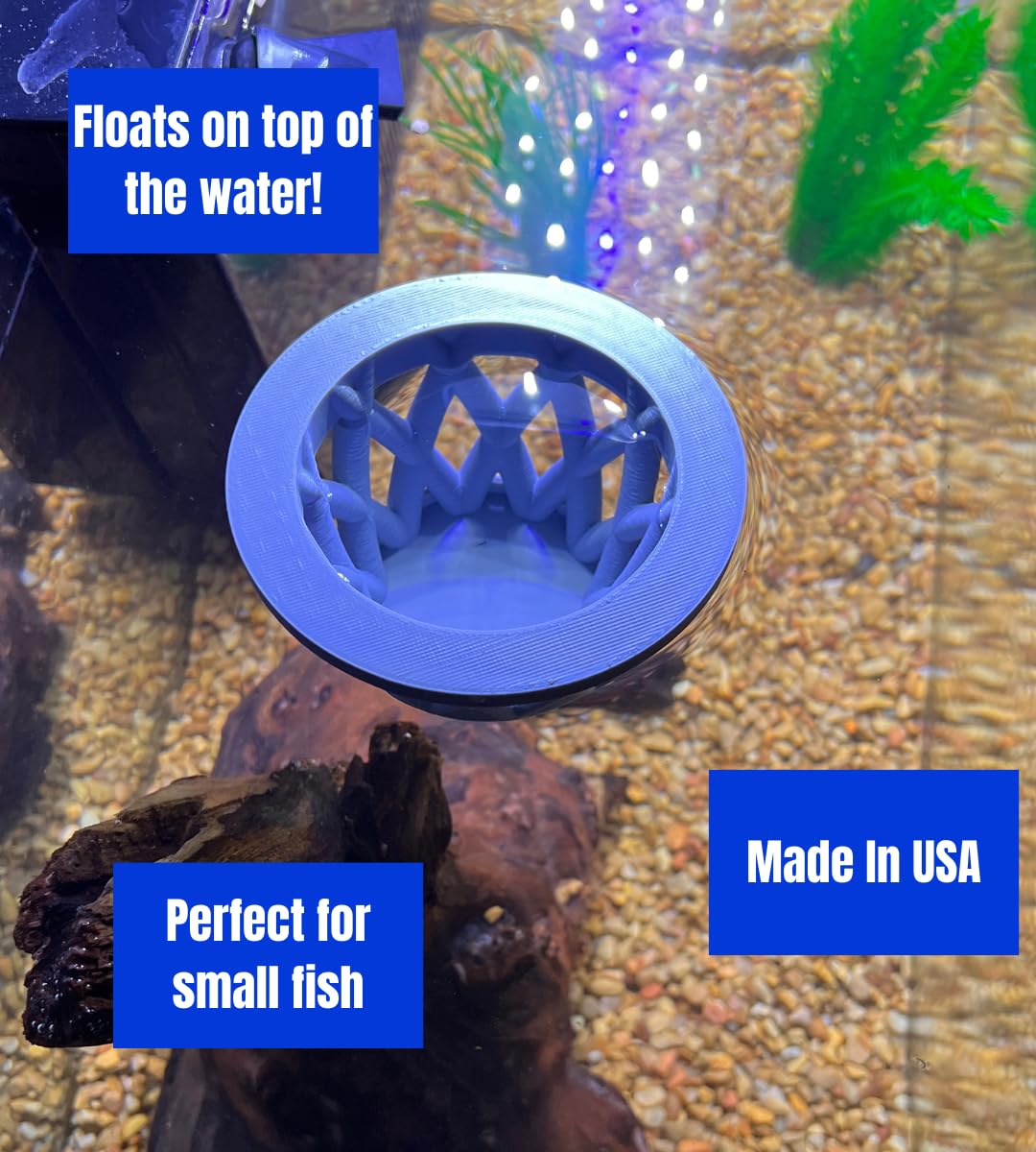 Chatelet Aquarium Fish Feeding Cage | Small Fish Feed Cage | Floats at Surface & Keeps Larger Fish Out | Made in USA