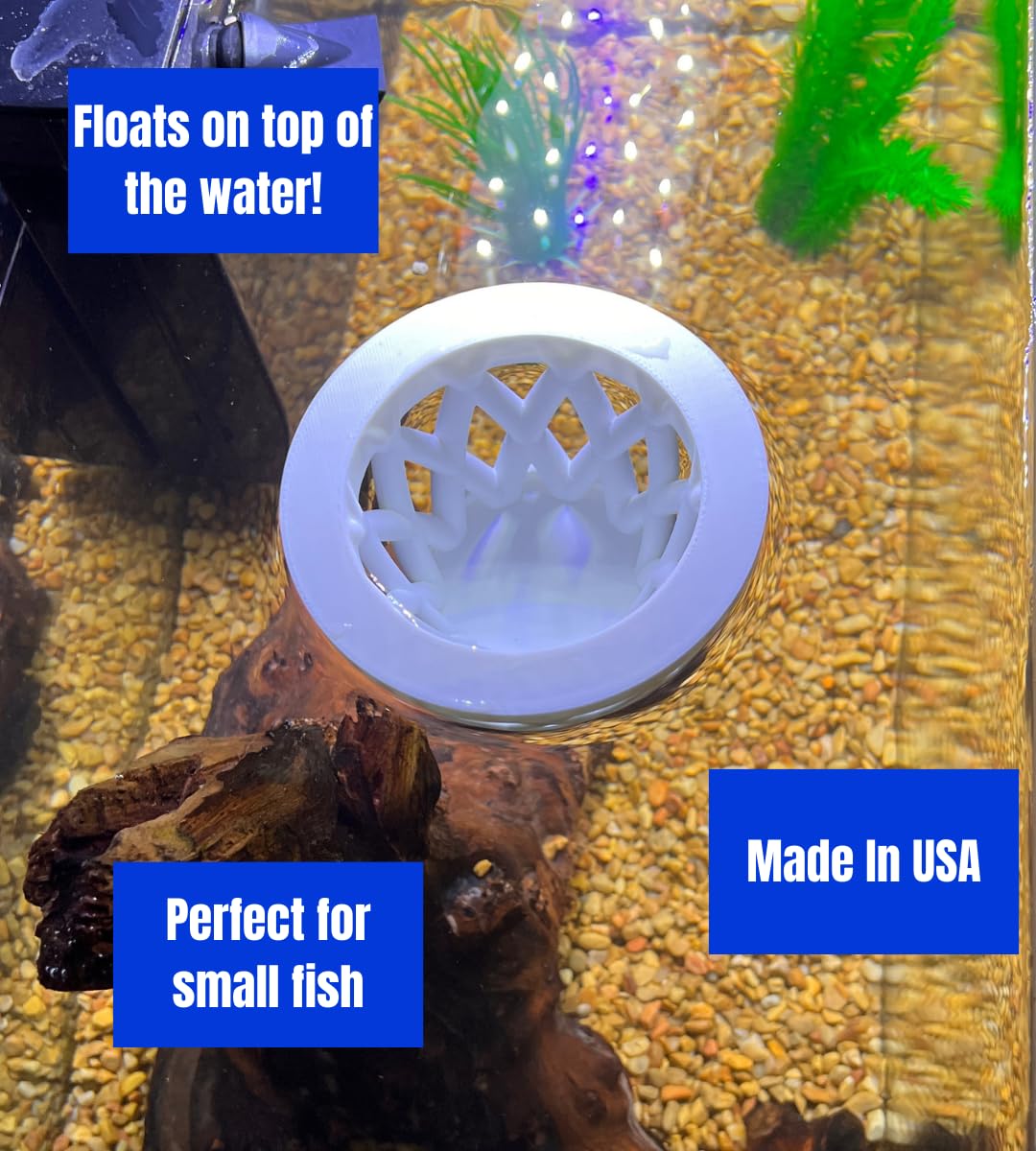 Chatelet Aquarium Fish Feeding Cage | Small Fish Feed Cage | Floats at Surface & Keeps Larger Fish Out | Made in USA
