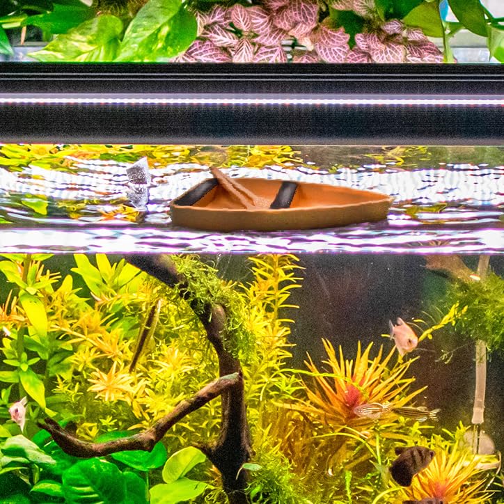 Chatelet Aquarium Toy Boat