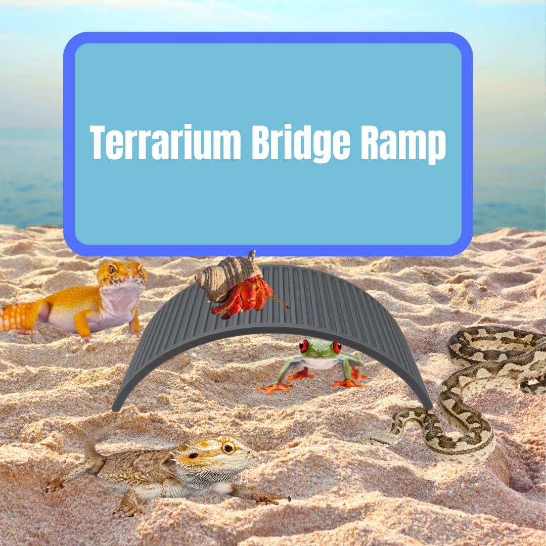 Climbing Bridge for Hermit Crabs, Lizards, Amphibians, Reptiles Terrariums | Toy Bridge Decor for Climbing & Exploring | Made in USA