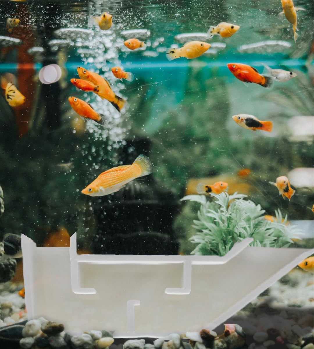 Chatelet Aquarium Underground Tunnel | Fish & Shrimp Hideout for Aquariums | Unique Underground Viewing Tunnel | Made in USA