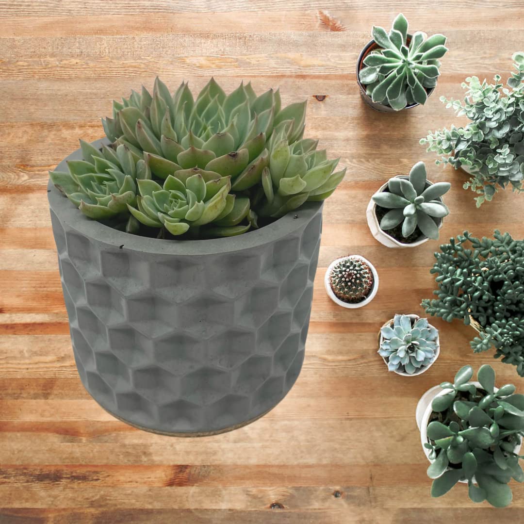 Concrete Hexagon Indent Design Small Planter - 3" Diameter - Holds Small Indoor or Outdoor Plants - Succulents, Microgreens, Flowers - Handmade in USA Gray, Concrete