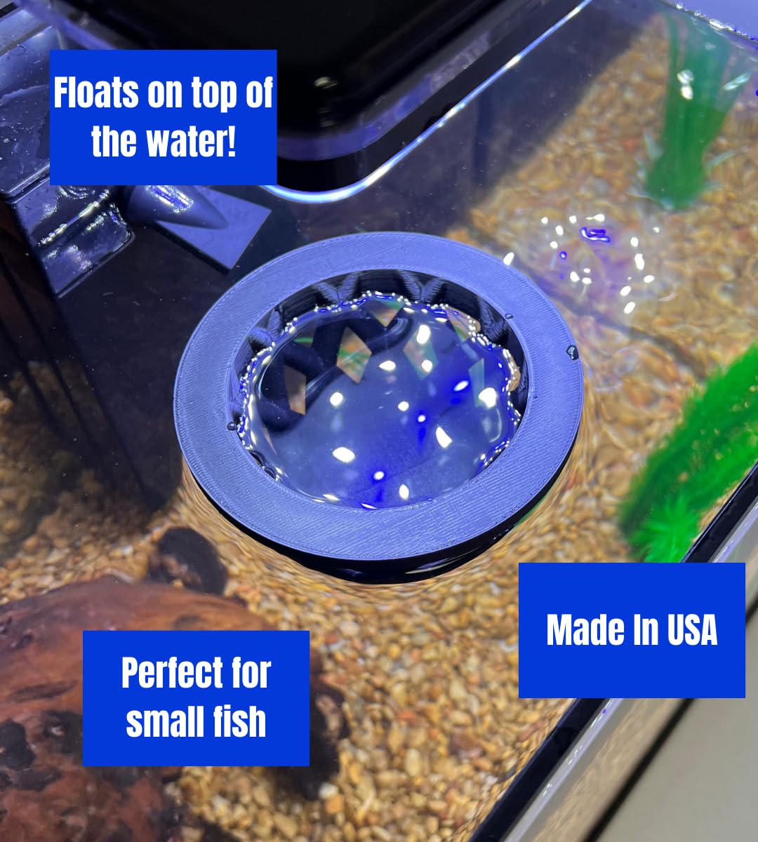 Chatelet Aquarium Fish Feeding Cage | Small Fish Feed Cage | Floats at Surface & Keeps Larger Fish Out | Made in USA