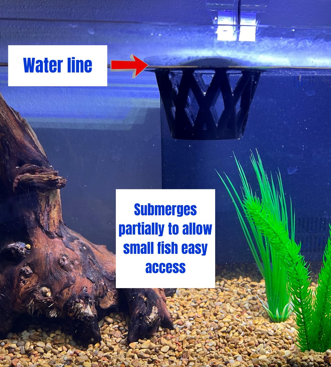 Chatelet Aquarium Fish Feeding Cage | Small Fish Feed Cage | Floats at Surface & Keeps Larger Fish Out | Made in USA