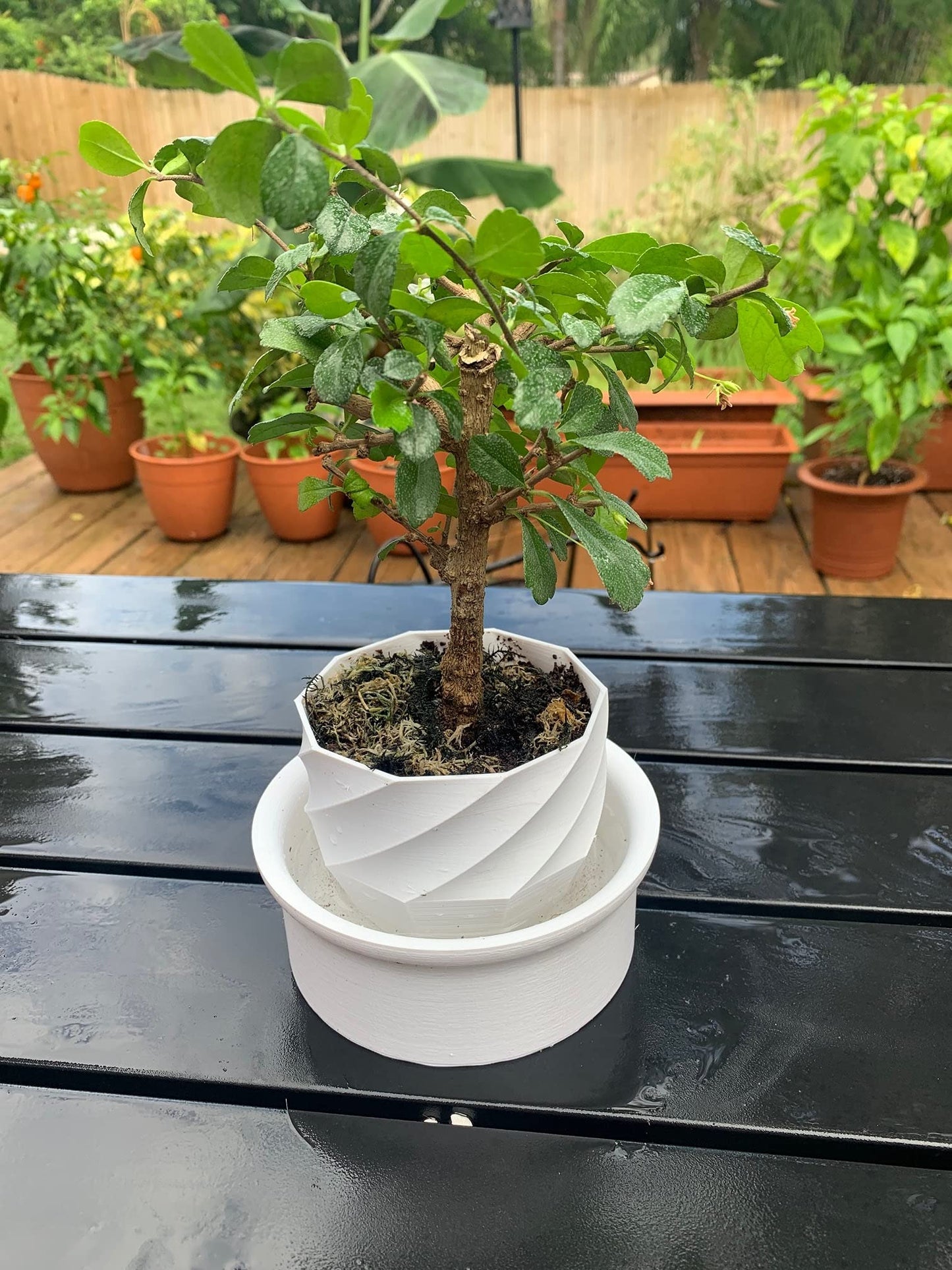 Self-Watering Planter with Spiral Design - Indoor/Outdoor Planter Pot for Succulents, Flowers, or Herbs - Decorate Home or Office