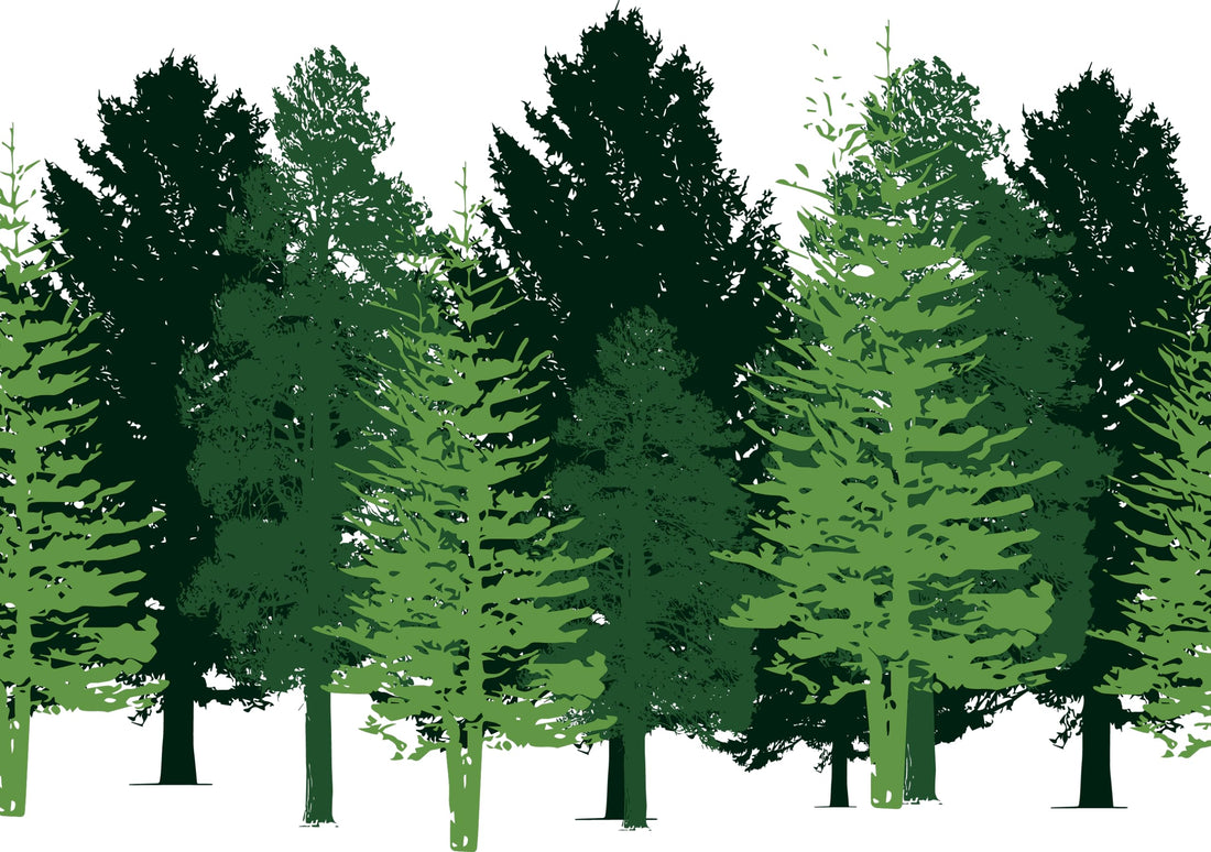 Wall Decals for Kids Rooms – Green Forest Trees – Made in USA - Green Forest Trees, Large